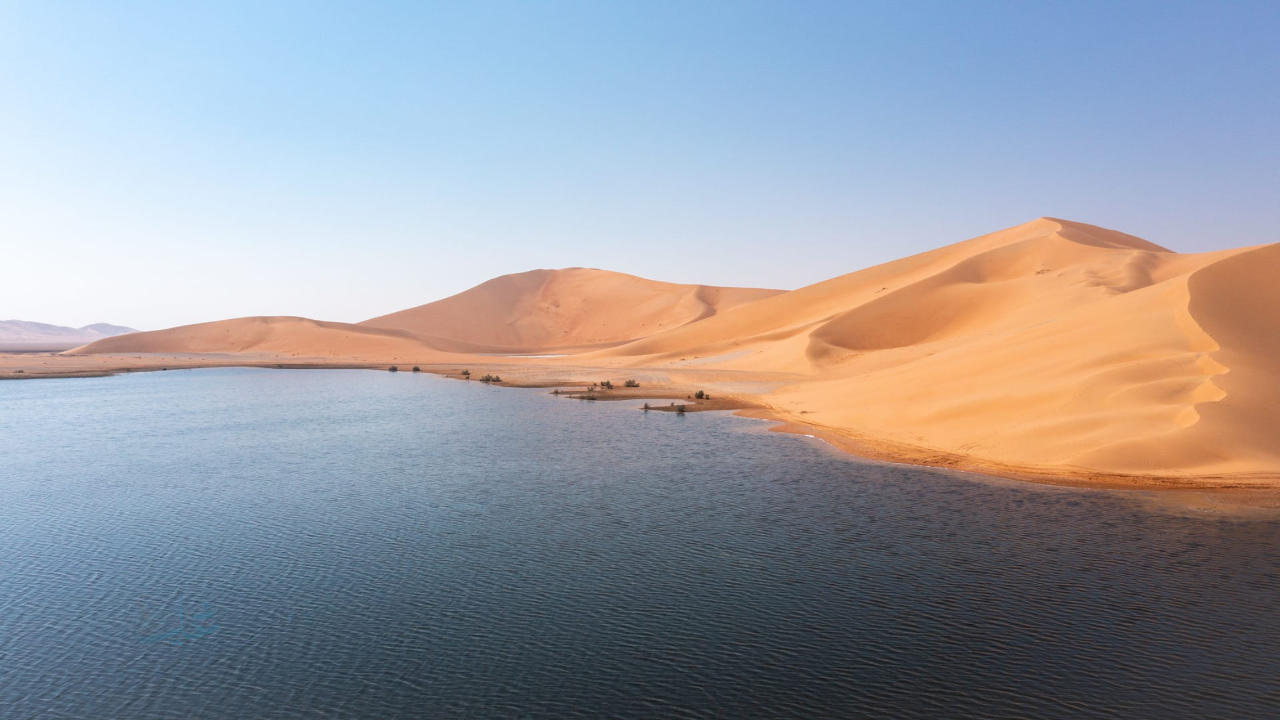 اكتشاف بحيرات مائية نادرة في الربع الخالي بصحراء السعودية.. طبيعة خلابة