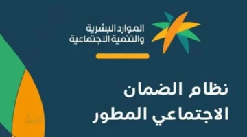 الضمان الاجتماعي المطور.. موعد صرف الدفعة 49 ورسائل الأهلية لشهر فبراير 2026
