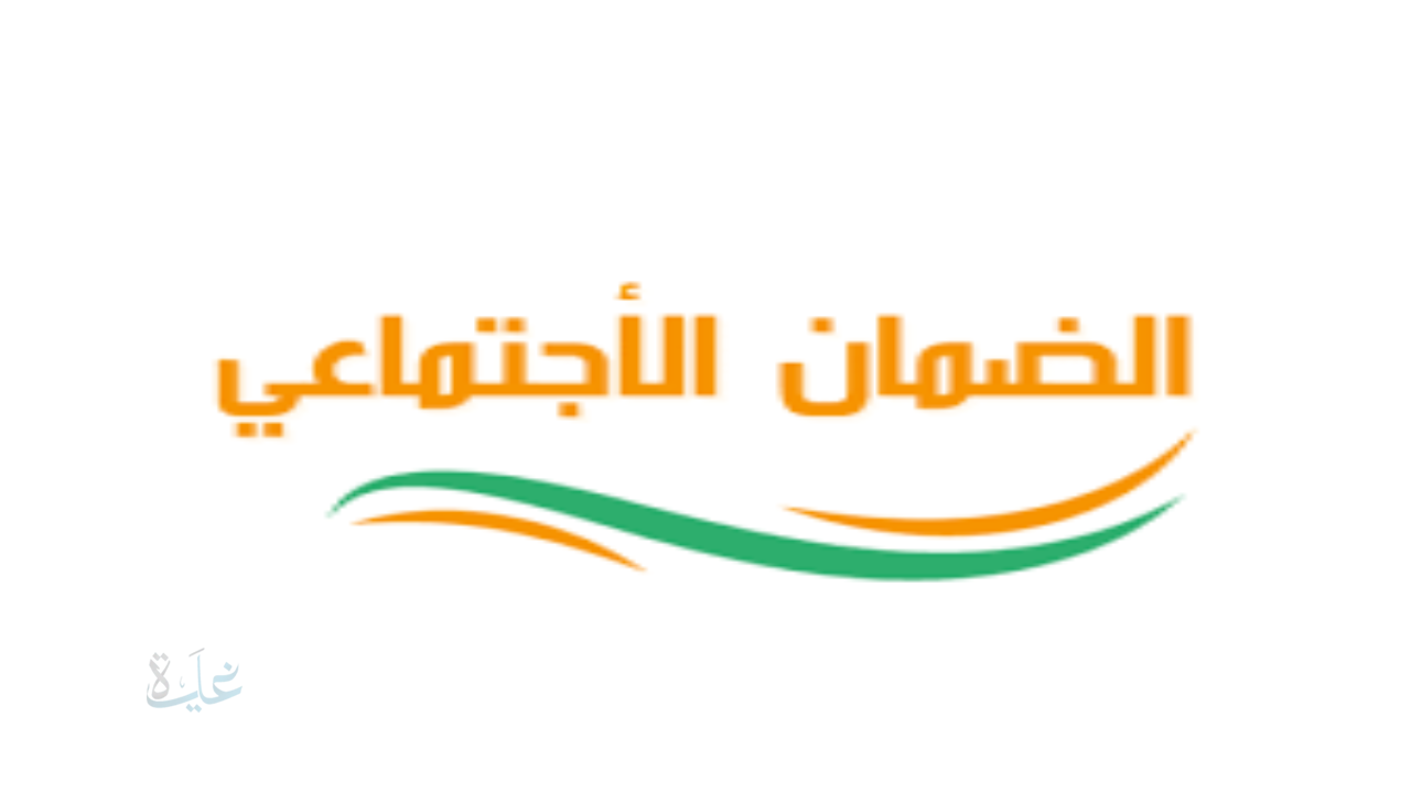 استعلام الضمان الاجتماعي المطور نفاذ برقم الهوية الوطنية عن دفعة فبراير 2026