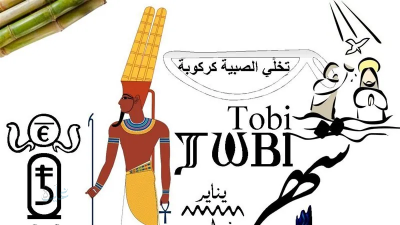 النهارده كام في شهر طوبه 2026.. ورقة نتيجة اليوم الاحد ٢٠٢٦