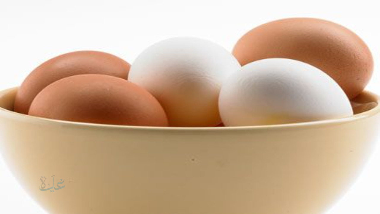 بكام النهاردة.. سعر كرتونة البيض اليوم 18/1/2026 للمستهلك في السوق والمزرعة
