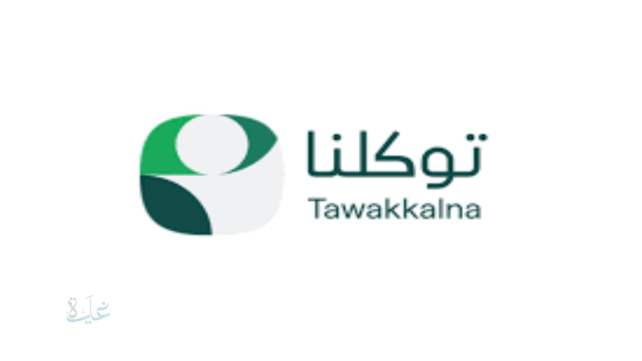 توكلنا” يتيح للموظفين الاستعلام عن الرواتب وتفاصيل الحقوق المالية بسهولة وشفافية كاملة عبر نافذة رقمية موحدة