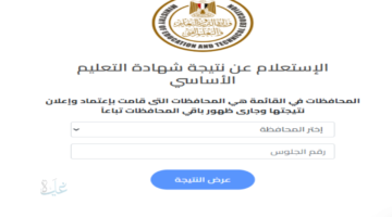 رابط مباشر لمعرفة نتيجة الصف الثالث الإعدادي في الجيزة بالاسم ورقم الجلوس