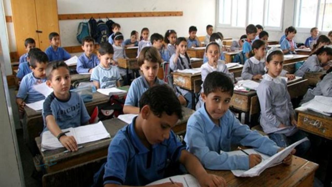 رابط نتيجة الشهادة الابتدائية بالرقم القومي 2026 في القاهرة والمحافظات.. خطوات سهلة للاستعلام الرسمي