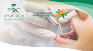 رسميًا بدء المرحلة الثانية من توطين مهن طب الأسنان في القطاع الخاص.. نسبة 55% وحد أدنى للرواتب يعزز الاستقرار الوظيفي