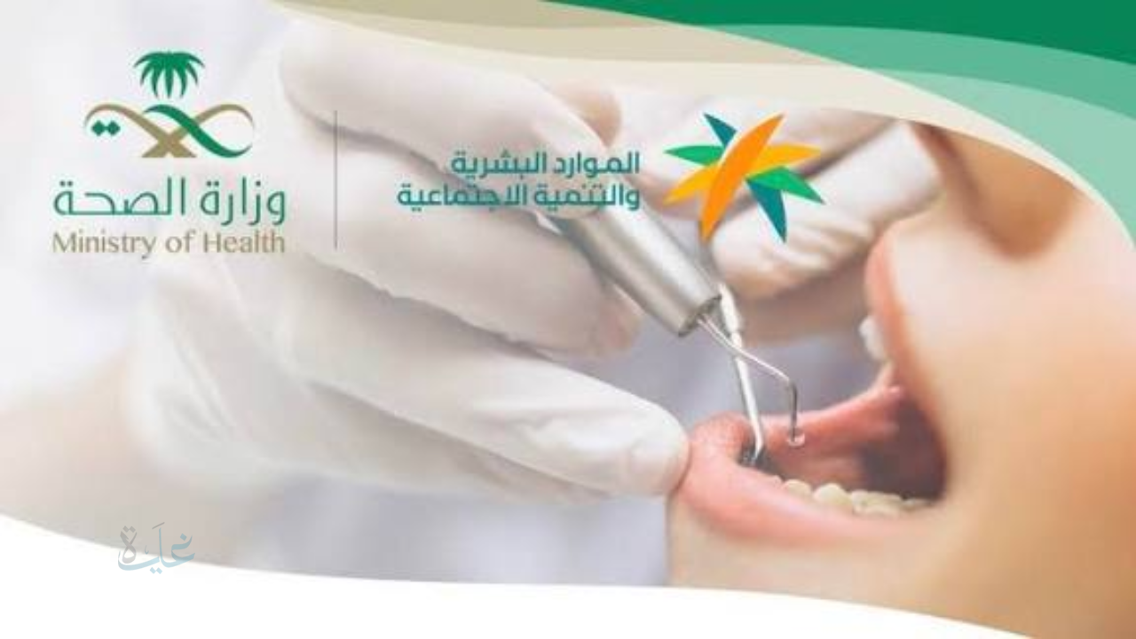 رسميًا بدء المرحلة الثانية من توطين مهن طب الأسنان في القطاع الخاص.. نسبة 55% وحد أدنى للرواتب يعزز الاستقرار الوظيفي