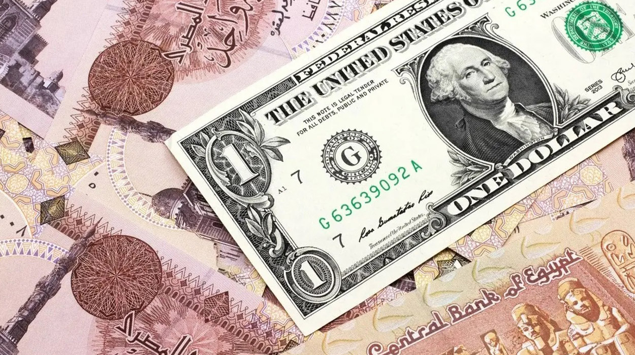 رسميًا بعد الارتفاع الجديد… تعرف على سعر الدولار اليوم في مصر 19 يناير 2026 في البنوك المصرية