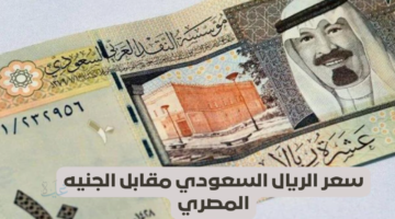 سعر الريال السعودي اليوم 29 يناير 2026.. تحديثات البنوك لحظة بلحظة