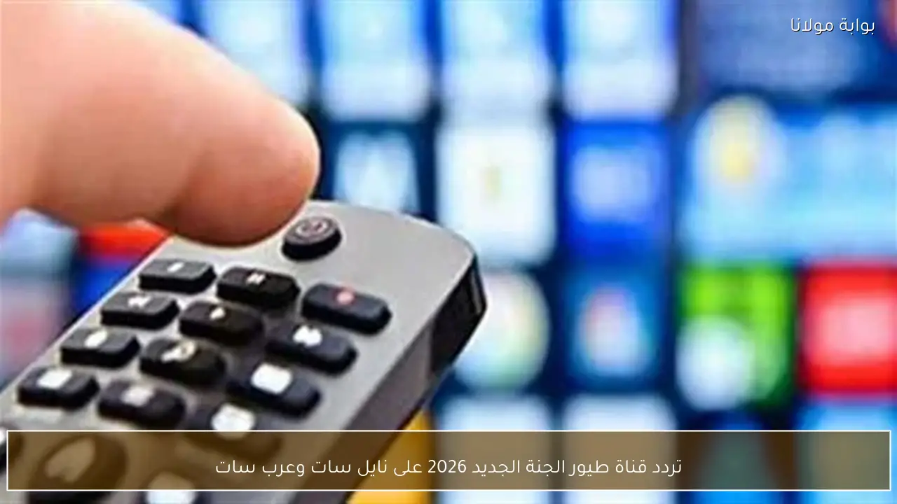 تردد قناة طيور الجنة 2026: ترفيه وتعليم بجودة HD للأطفال في العالم العربي