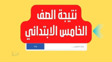 موعد إعلان نتيجة الصف الخامس الابتدائي 2026 وطرق الاستعلام بالاسم والرقم القومي