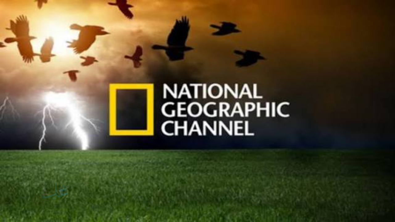 «عالم المعرفة».. تردد قناة ناشيونال جيوغرافيك أبوظبي 2026 وبرامج وثائقية لا تُفوّت