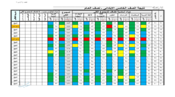 نتيجتك هنا .. نتيجة الصف الخامس الابتدائي بالرقم القومي 2026 ورقم الجلوس