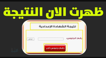 الف مبروك .. نتيجة الصف الثالث الاعدادي 2026 "الشهادة الاعدادية" برقم الجلوس الترم الأول