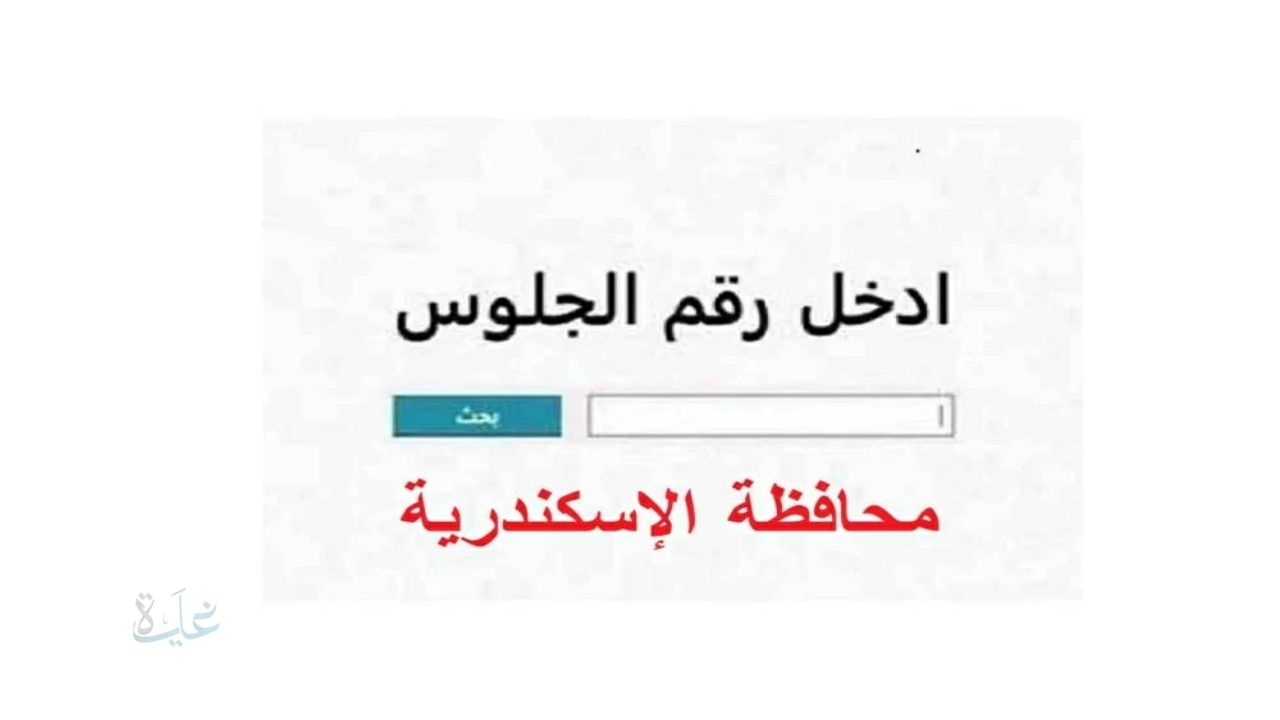 رابط استخراج نتيجة الصف الثالث الاعدادي الفصل الدراسي الاول في محافظة الإسكندرية بالاسم ورقم الجلوس