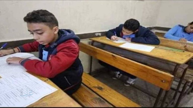 رابط نتيجة الصف الثالث الابتدائي 2026 للترم الأول.. فور اعتمادها رسميًا