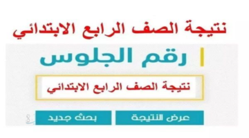 طريقة الاستعلام عن نتيجة الصف الرابع الابتدائي 2026 في القاهرة برقم قومي عبر الموقع الرسمي