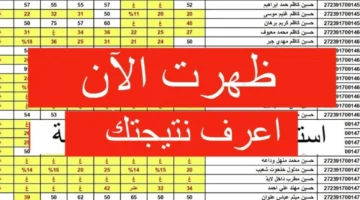 استلم نتيجتك.. نتيجة سنوات النقل الترم الأول 2026 بالرقم القومي