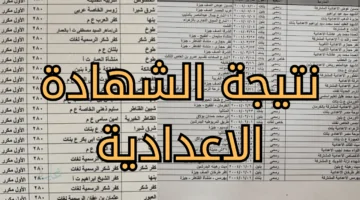 نتيجة الشهادة الإعدادية 2026 الجيزة برقم الجلوس.. نسبة النجاح 85.29% ورابط الاستعلام الرسمي