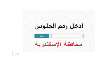 نتيجة الشهادة الإعدادية بالإسكندرية 2026 برقم الجلوس.. خطوات الاستعلام ورابط مباشر