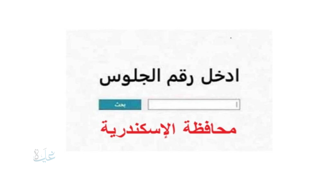 استعلم بالاسم أو رقم الجلوس.. رابط نتيجة الشهادة الإعدادية بالإسكندرية 2026