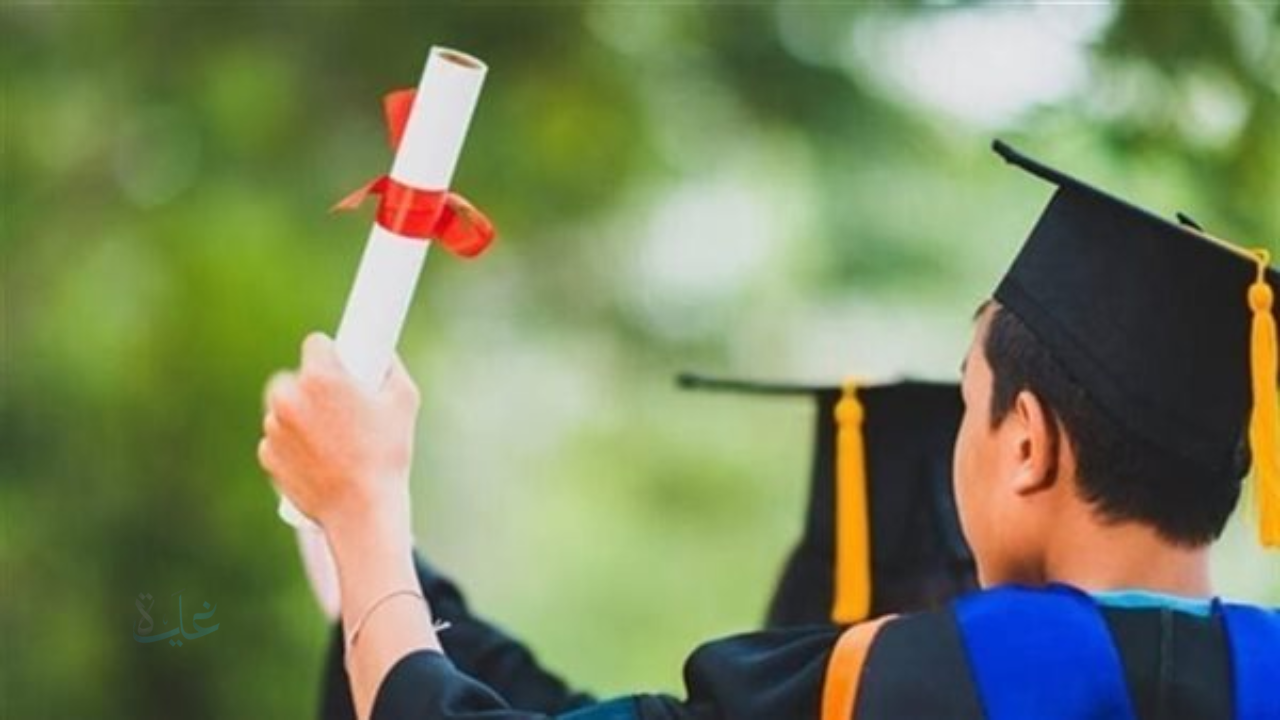 رابط تالتة 3 إعدادي نتيجة الشهادة الإعدادية برقم الجلوس 2026 في البحيرة موقع المديرية التعليمية