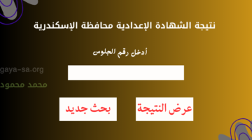 "تالتة اعدادي" نتيجة الشهادة الاعدادية 2026 الترم الأول محافظة الاسكندرية البوابة الإلكترونية