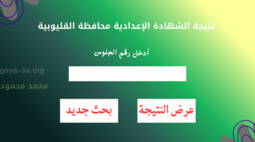الصف الثالث الاعدادي.. نتيجة الشهادة الإعدادية محافظة القليوبية 2026 البوابة الإلكترونية مَجاناً