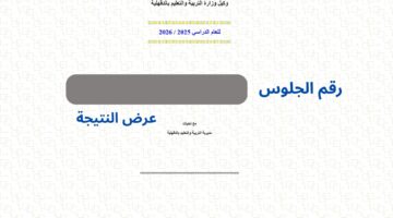 "ببلاش" ننشر نتيجة الصف الثالث الإعدادي 2026 محافظة الدقهلية بالاسم ورقم الجلوس