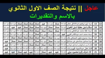 مبرووووك للناجحين .. نتيجة الصف الأول الثانوي بالاسم عبر موقع وزارة التربية والتعليم لكافة المحافظات