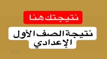 "استخـرج درجـاتك" نتيجة الصف الاول الاعدادي 2026 الترم الأول خـلال عبر eduserv.cairo.gov.eg بوابة التعليـم الأساسـي