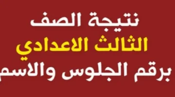 ألف مبروك.. رابط نتيجة الصف الثالث الإعدادى بالإسكندرية برقم الجلوس.. شوف نتيجتك بالدرجات