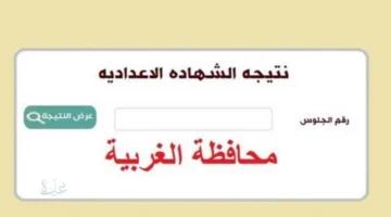 رسميا ظهرت الشهادة الإعدادية.. نتيجة الصف الثالث الإعدادي 2026 محافظة الغربية برقم الجلوس
