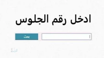 الشهادة الإعدادية.. نتيجة الصف الثالث الإعدادي برقم الجلوس 2026 برابط مباشر سريع
