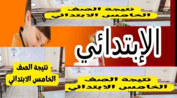 مبرروك النجاح.. نتيجة الصف الخامس الابتدائي 2026 الترم الأول جميع المحافظات برابط مباشر