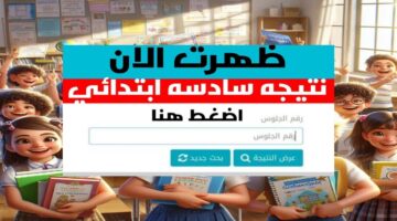 مبرروك النجاح نتيجة الصف السادس الابتدائي 2026 الترم الاول متاحه للجميع