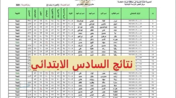 رسميًا.. رابط نتيجة الصف السادس الابتدائي 2026 برقم الجلوس