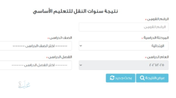 مبروك النجاح للطلاب.. رابط نتيجة صفوف النقل عبر بوابة نتائج التعليم الأساسي
