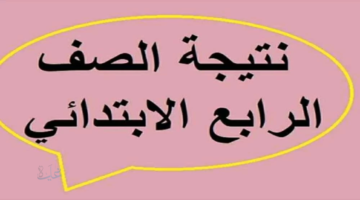 بوابة مديرية التعليم.. رابط نتيجة الصف الرابع الابتدائي محافظة الجيزة 2026 عبر الموقع الإلكتروني
