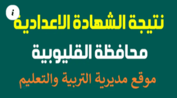 نسبة النجاح 97٪ .. نتيجة الشهادة الاعدادية محافظة القليوبية 2026 عبر البوابة الإلكترونية