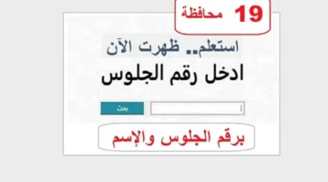 أحصل عليها الان بالاسم.. رابط نتيجة الصف الثالث الاعدادي الترم الاول محافظة الفيوم 2026 برقم الجلوس