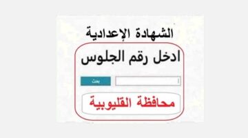 ظهرت ناااو.. نتيجة الصف الثالث الاعدادي محافظة القليوبية برقم الجلوس عبر الرابط الرسمي