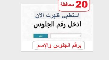 رابط نتيجة الصف الثالث الإعدادي برقم الجلوس 2026 في 20 محافظة