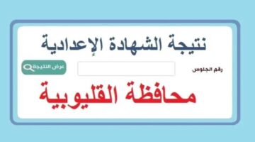 موقع نذاكر.. نتيجة الصف الثالث الاعدادي محافظة القليوبية برقم الجلوس الان حصريا.. رابط مباشر