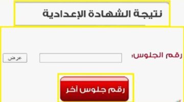 بنسبة نجاح 70.63%.. نتيجة الشهادة الاعدادية 2026 محافظة الشرقية بالاسم ورقم الجلوس 