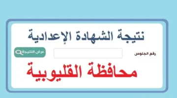 "الان".. رابط نتيجة الصف الثالث الإعدادي محافظة القليوبية 2026 الترم الاول 
