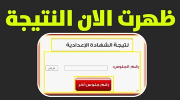 نجاح ملموس.. نتيجة الصف الثالث الإعدادي 2026 في شمال سيناء.. فرحة للطلاب