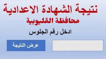 نتيجة رسمية.. الشهادة الاعدادية بالقليوبية تظهر رسميا الآن برقم الجلوس.. بالاسم ورقم الجلوس