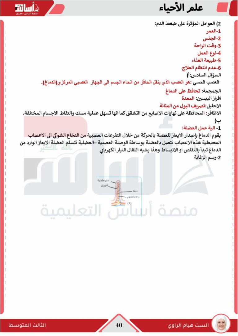 اعرف هسه.. اسئلة الاحياء الثالث متوسط تمهيدي 2026 والإجابة وأهم التفاصيل الهامة