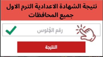 النتيجة ظهرت.. رابط الاستعلام عن إعدادية 2026 في 17 محافظة مختلفة الان عبر الرابط الرسمي