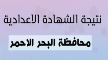 برقم جلوسك.. نتيجة الصف الثالث الإعدادي البحر الأحمر بعد اعتمادها رسميًا.. اعرف درجاتك فورًا